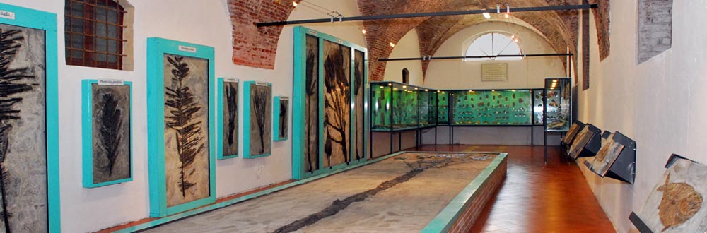 Museo dei Fossili in Villa Godi Malinverni - Lugo di Vicenza